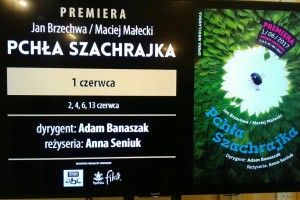 Klasy 1-3 - Pchła Szachrajka, Opera Wrocławska